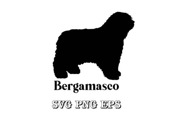 Bergamasco Silhouette – A Designer's Hands-On Review