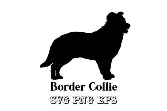Border Collie Silhouette Dog Breed Review