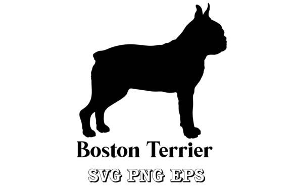 Boston Terrier Dog Silhouette Breeds Review