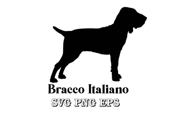 Bracco Italiano Dog Silhouette