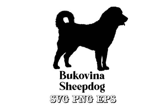 Bukovina Sheepdog Sheepdog Dog Design Review