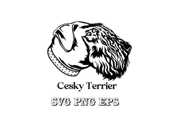 Cesky Terrier Dog Silhouette Face Vector