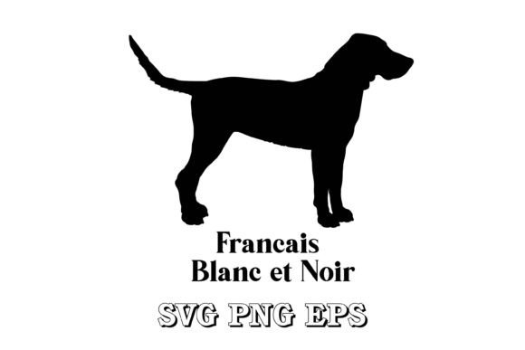 Francais Blanc Et Noir Dog Breeds Vector Review