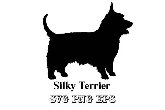 Silky Terrier Silhouette Dog Breed: A Designer's Take